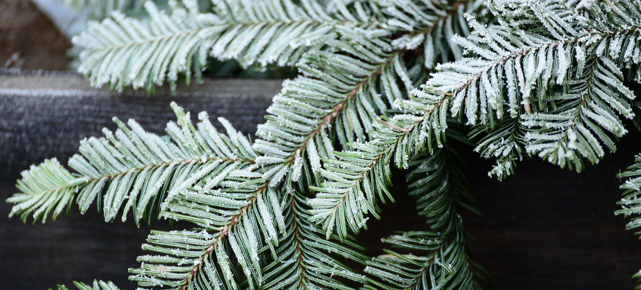 Frühlingsmesse Jestetten